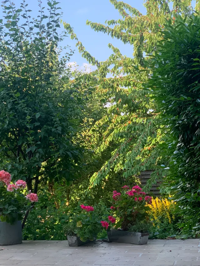 Blick von der Terrasse